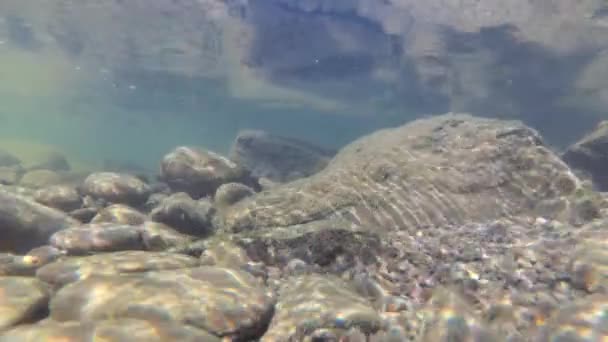 Underwater Scenery Mountain River Carpathians — Video Stock