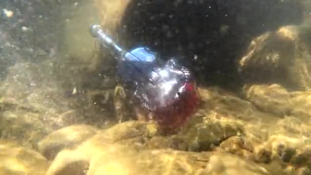 Підводний Пейзаж Пляшкою Вигляді Скрипки — стокове відео