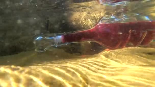 Paisagem Subaquática Com Uma Garrafa Forma Violino — Vídeo de Stock