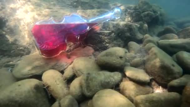 Underwater Landscape Bottle Form Violin — Stockvideo