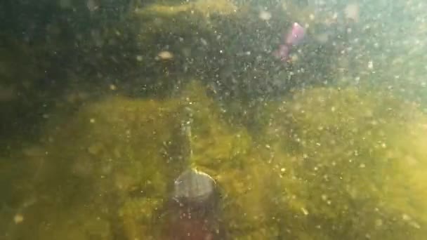 Подводный Пейзаж Бутылкой Виде Скрипки — стоковое видео