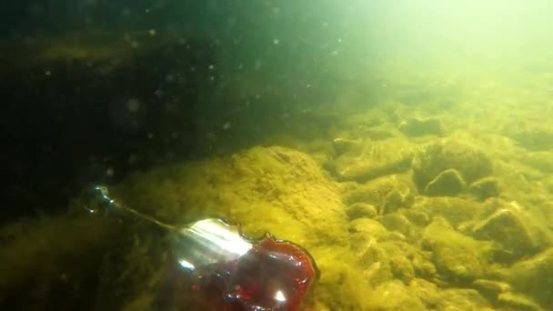 Underwater Landscape Bottle Form Violin — Αρχείο Βίντεο