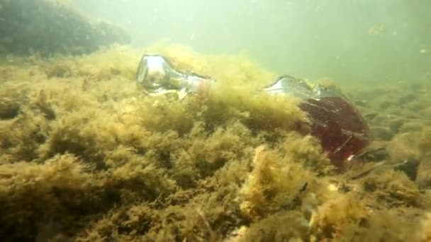 Underwater Landscape Bottle Form Violin — Αρχείο Βίντεο