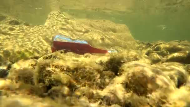 Podwodny Krajobraz Butelką Formie Skrzypiec — Wideo stockowe