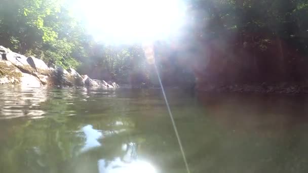 Paisagem Subaquática Rio Montanha Nos Cárpatos — Vídeo de Stock