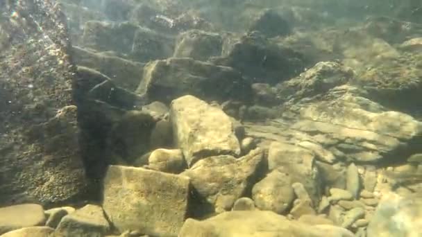 Underwater Scenery Mountain River Carpathians — Stok video