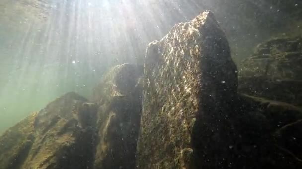 Underwater Scenery Mountain River Carpathians — Stok video