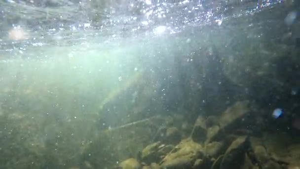 Underwater Scenery Mountain River Carpathians — Vídeo de stock