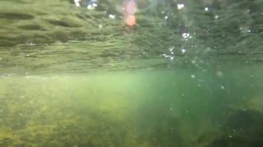 Underwater scenery of a mountain river in the Carpathians