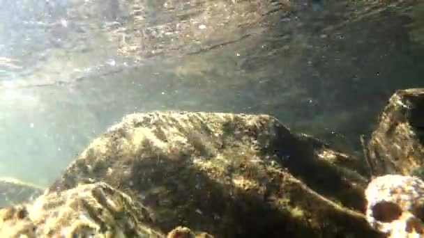 Underwater Landscape Mountain River Artificial Skull — Vídeo de Stock