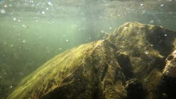 Underwater Landscape Mountain River Artificial Skull — Vídeos de Stock