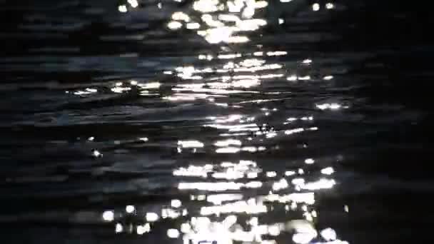 Sunny Path Waves Mountain River Dark Key — Stock Video