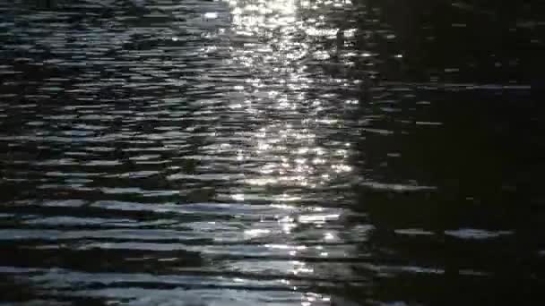 Сонячний Шлях Хвилях Гірської Річки Темному Ключі — стокове відео