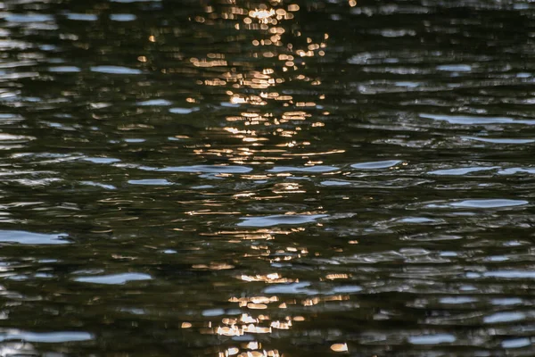 Sunny Path Waves Mountain River Dark Key — Foto Stock