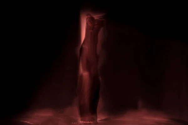 Silhouette Egy Kecses Macska Körvonalazott Val Fény — Stock Fotó
