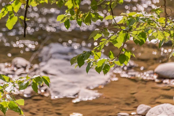 Plně Tekoucí Horská Řeka Karpatech — Stock fotografie