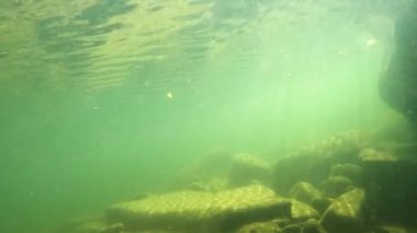 Karpatlar 'da bir dağ nehrinin sualtı manzarası