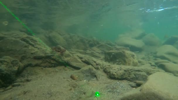 Underwater Scenery Mountain River Carpathians — Video