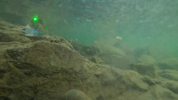 Podvodní Scenérie Horské Řeky Karpat — Stock video