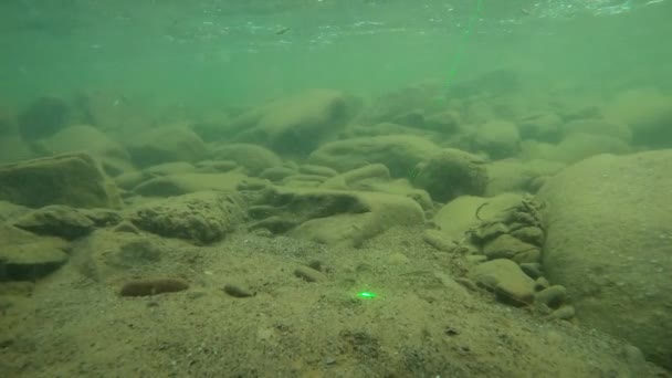 Paysage Sous Marin Une Rivière Montagne Dans Les Carpates — Video