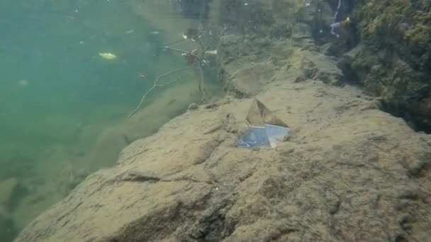 Paysage Sous Marin Une Rivière Montagne Dans Les Carpates — Video