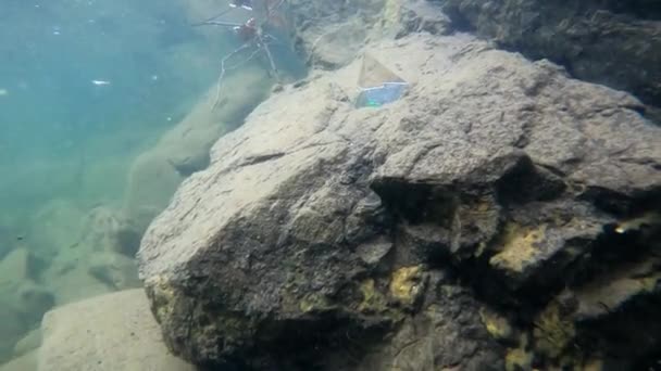 Paysage Sous Marin Une Rivière Montagne Dans Les Carpates — Video