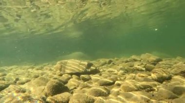 Underwater scenery of a mountain river in the Carpathians