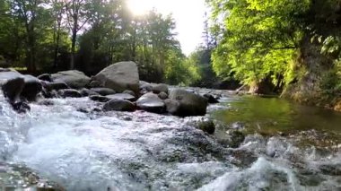 Karpatlar 'da bir dağ nehrinin sualtı manzarası