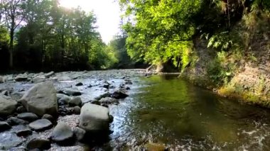 Underwater scenery of a mountain river in the Carpathians