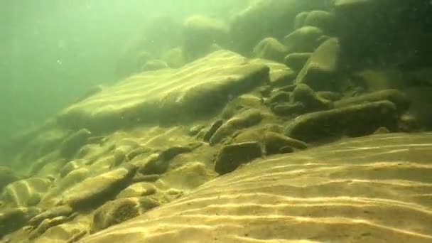 Underwater Scenery Mountain River Carpathians — 图库视频影像