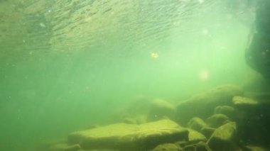 Underwater scenery of a mountain river in the Carpathians