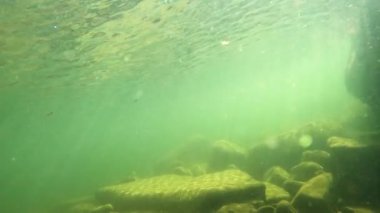 Karpatlar 'da bir dağ nehrinin sualtı manzarası