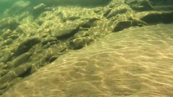 Underwater Scenery Mountain River Carpathians — kuvapankkivideo