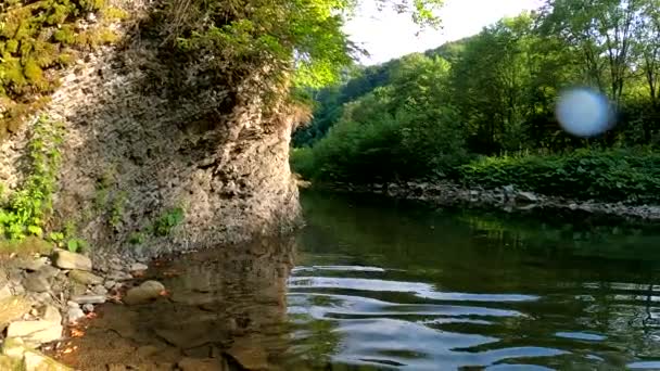 Υποβρύχια Τοπίο Ενός Ποταμού Βουνού Στα Καρπάθια — Αρχείο Βίντεο