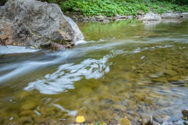 Yağmur altında bir dağ nehrinin manzarası