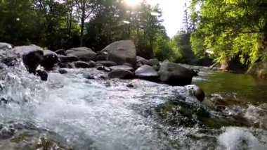 Karpatlar 'da bir dağ nehrinin sualtı manzarası