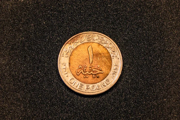 Reverse Egyptian Pound Coin 2005 2022 — стоковое фото