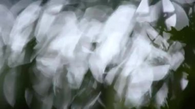 Arka plan için doğada güzel bir bokeh