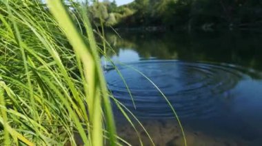 Gün batımında bir dağ nehrinin manzarası