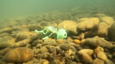 Underwater shooting in a mountain river with a toy skeleton