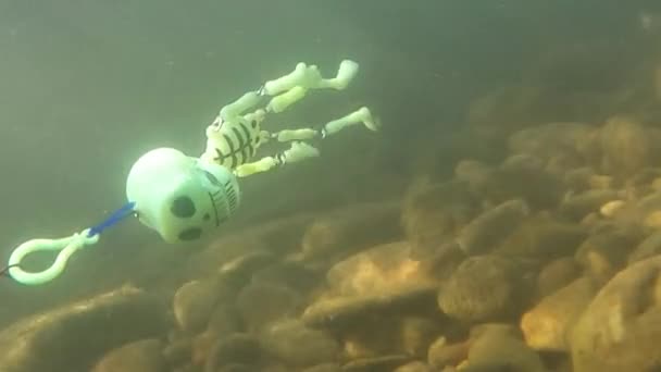 Подводная Стрельба Горной Реке Игрушечным Скелетом — стоковое видео