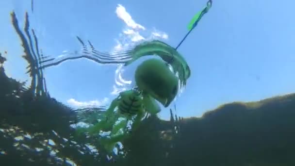 Underwater Shooting Mountain River Toy Skeleton — Vídeo de stock