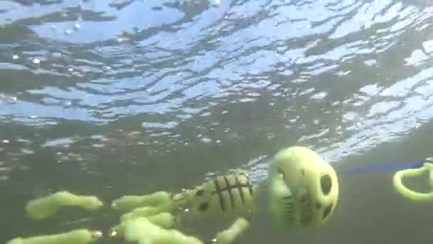 Underwater Shooting Mountain River Toy Skeleton — 图库视频影像