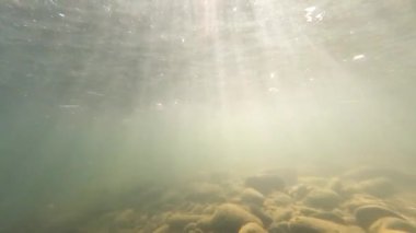Underwater landscape of sun rays in a mountain river