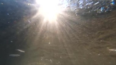Underwater landscape of sun rays in a mountain river