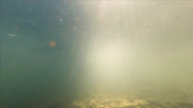 Underwater landscape of sun rays in a mountain river with a mask