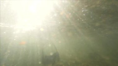 Underwater landscape of sun rays in a mountain river