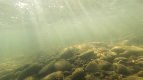 Underwater Landscape Sun Rays Mountain River — Vídeo de Stock