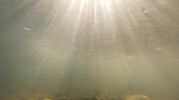 Underwater Landscape Sun Rays Mountain River — Wideo stockowe