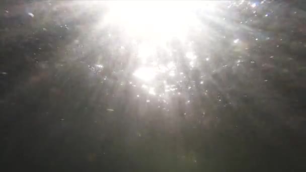 Underwater Landscape Sun Rays Mountain River — Stock videók